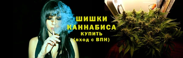сатива Михайлов