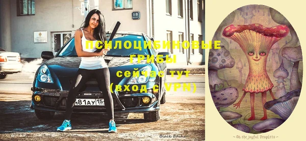 ECSTASY Михайловск