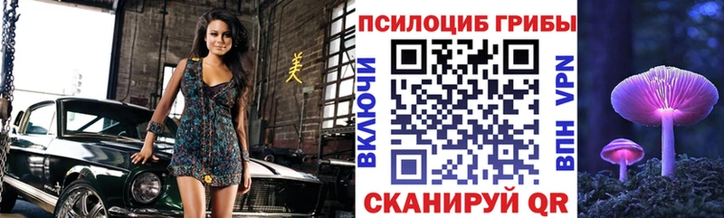 Галлюциногенные грибы мухоморы  дарнет шоп  Суджа 